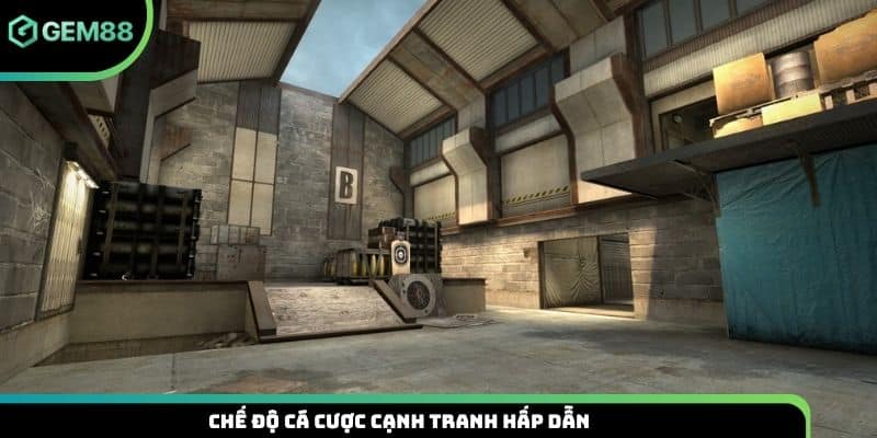 Chế độ cá cược cạnh tranh hấp dẫn