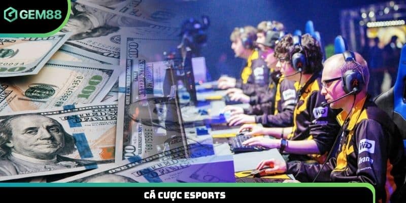 Cá cược Esports
