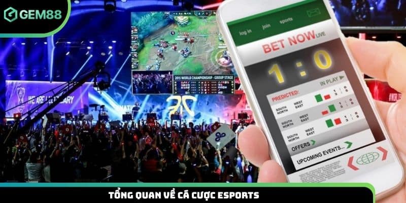 Tổng quan về cá cược Esports