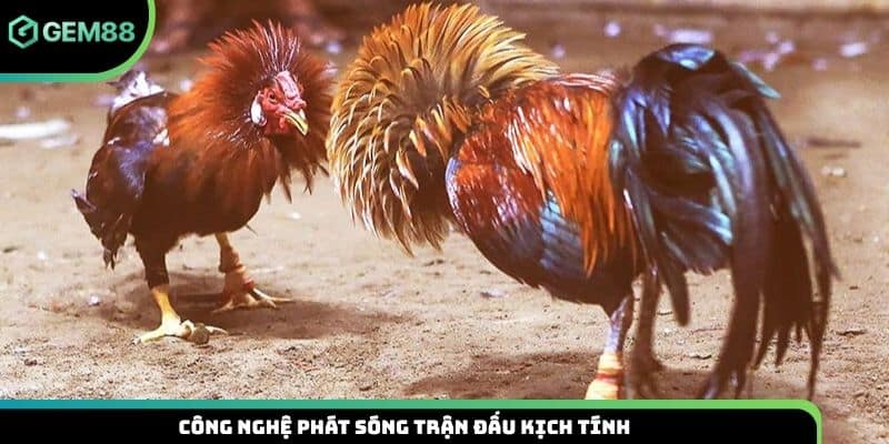 Công nghệ phát sóng trận đấu kịch tính