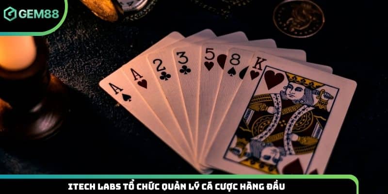 iTech Labs tổ chức quản lý cá cược hàng đầu